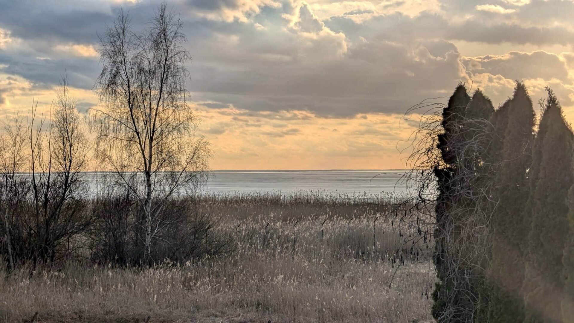 Haus in Wollin mit Seeblick – Grossansicht Bild 13